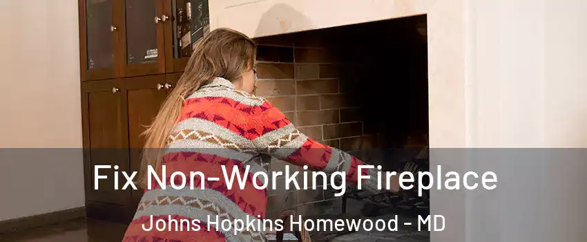 Fix Non-Working Fireplace Johns Hopkins Homewood - MD