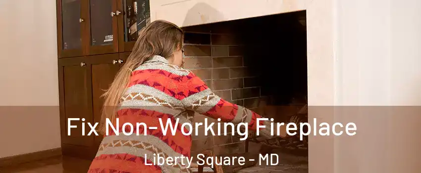 Fix Non-Working Fireplace Liberty Square - MD