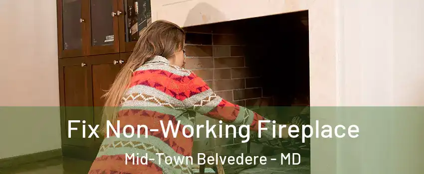 Fix Non-Working Fireplace Mid-Town Belvedere - MD