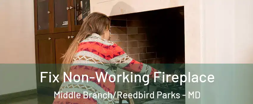 Fix Non-Working Fireplace Middle Branch/Reedbird Parks - MD