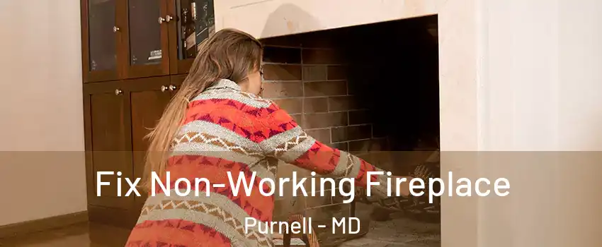 Fix Non-Working Fireplace Purnell - MD