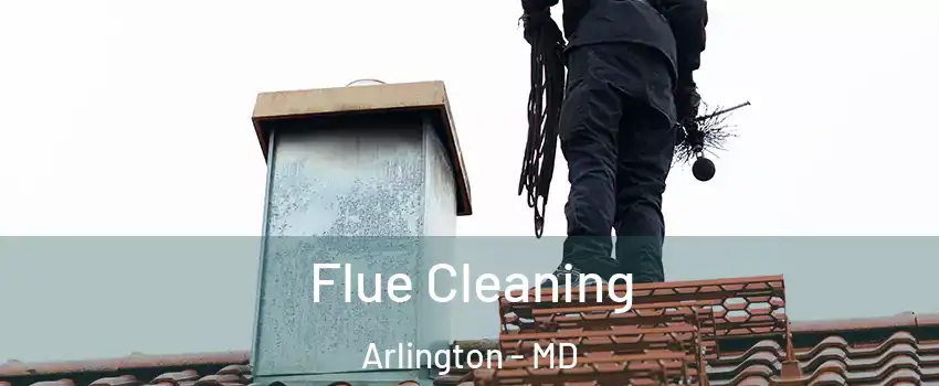 Flue Cleaning Arlington - MD