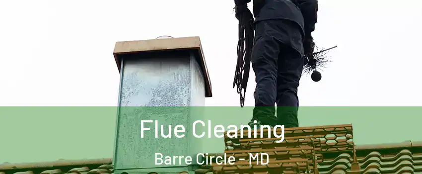 Flue Cleaning Barre Circle - MD