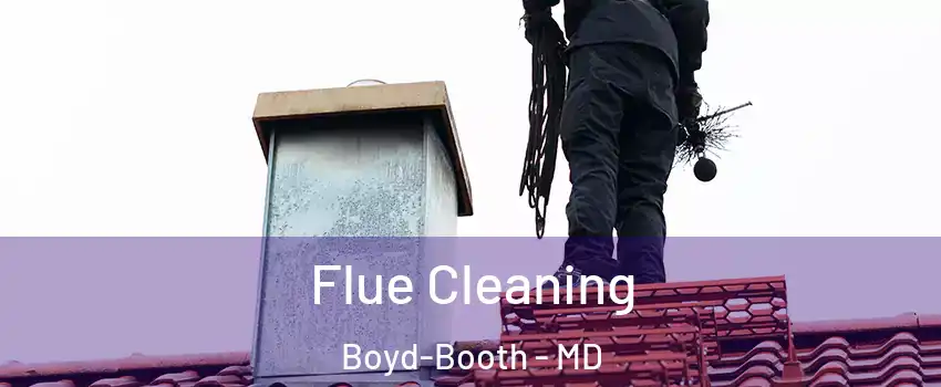 Flue Cleaning Boyd-Booth - MD