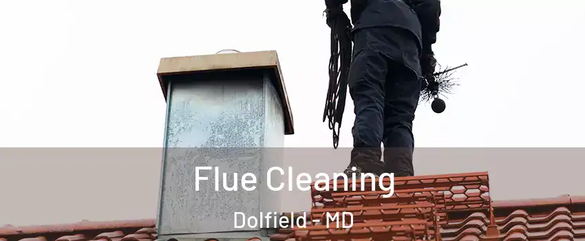 Flue Cleaning Dolfield - MD