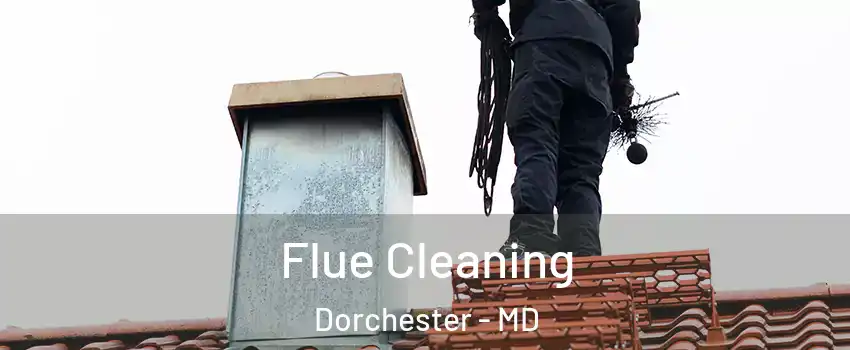 Flue Cleaning Dorchester - MD