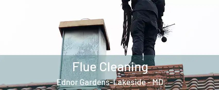 Flue Cleaning Ednor Gardens-Lakeside - MD