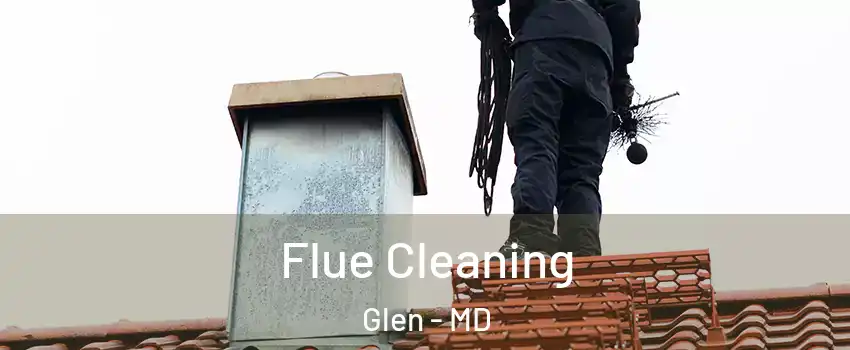 Flue Cleaning Glen - MD