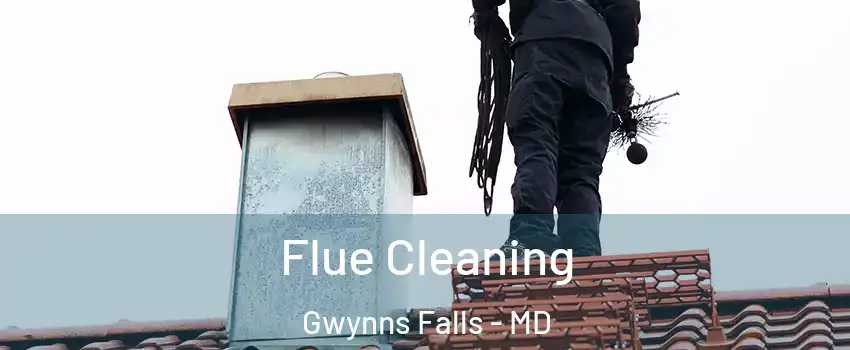 Flue Cleaning Gwynns Falls - MD