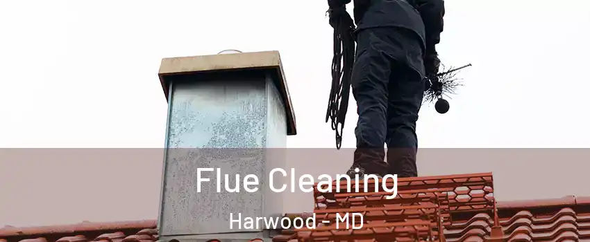 Flue Cleaning Harwood - MD