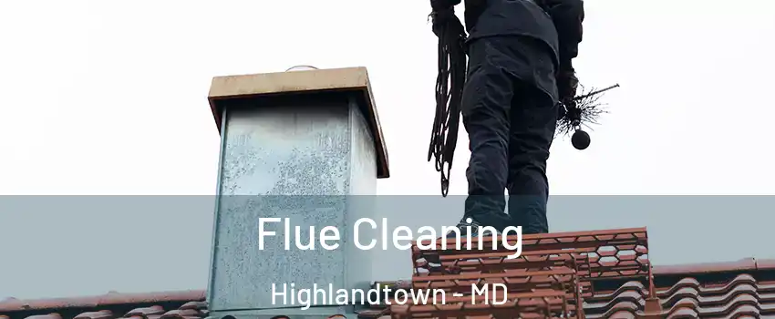 Flue Cleaning Highlandtown - MD