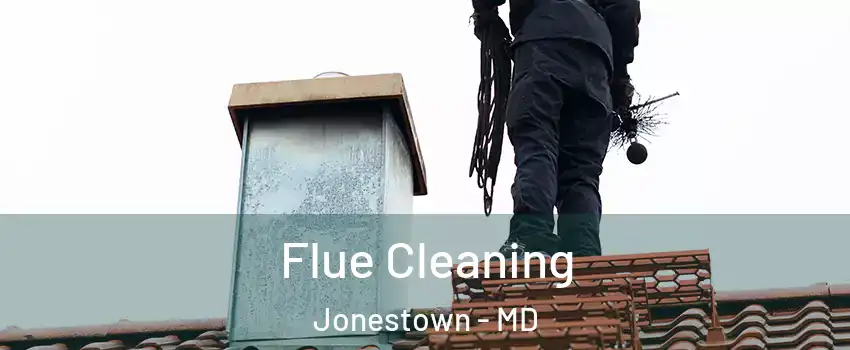 Flue Cleaning Jonestown - MD