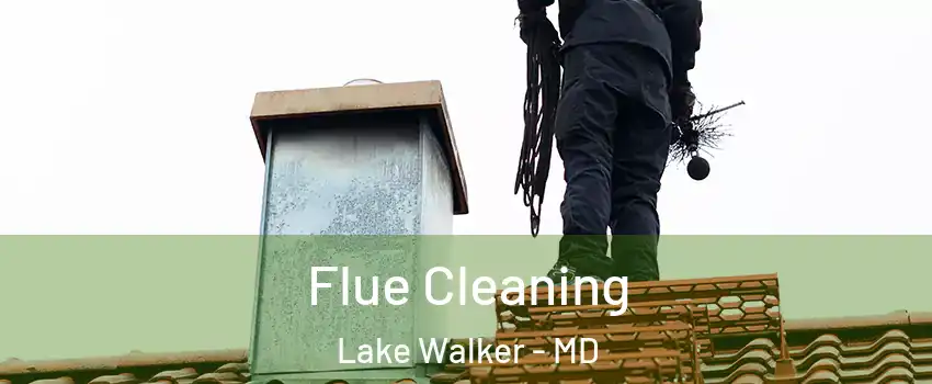 Flue Cleaning Lake Walker - MD