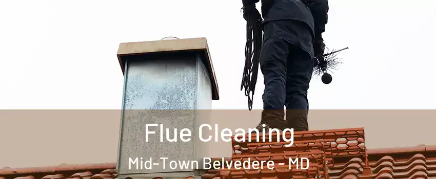 Flue Cleaning Mid-Town Belvedere - MD