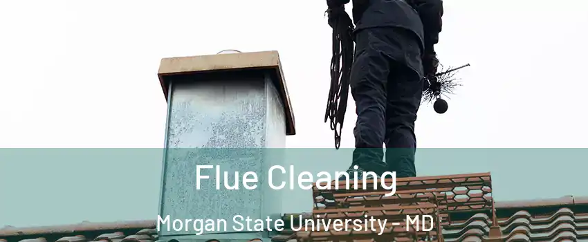 Flue Cleaning Morgan State University - MD