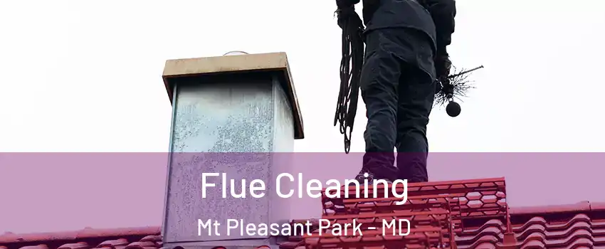 Flue Cleaning Mt Pleasant Park - MD