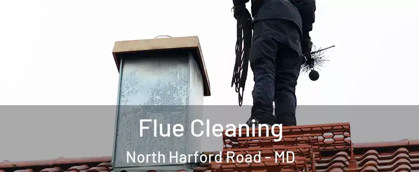 Flue Cleaning North Harford Road - MD