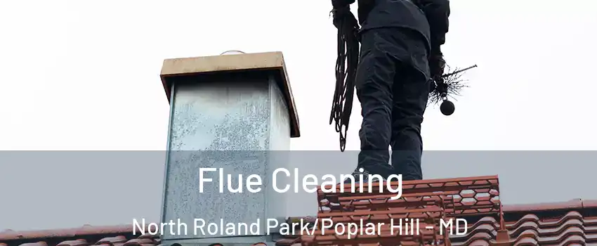 Flue Cleaning North Roland Park/Poplar Hill - MD