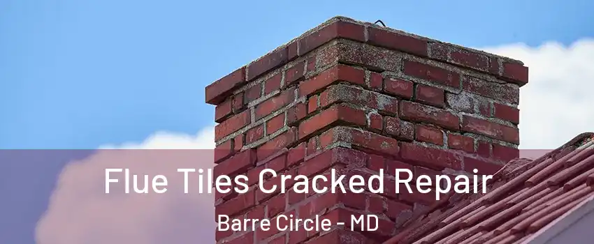 Flue Tiles Cracked Repair Barre Circle - MD