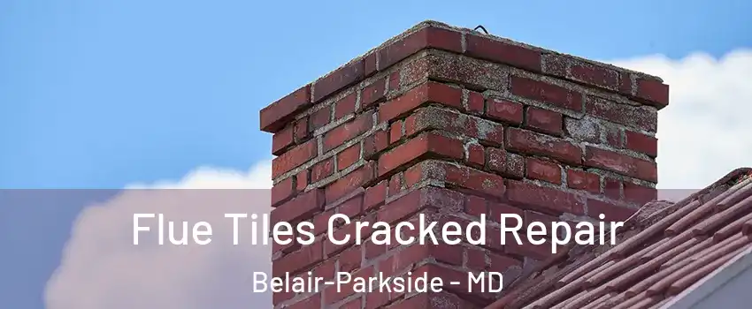 Flue Tiles Cracked Repair Belair-Parkside - MD