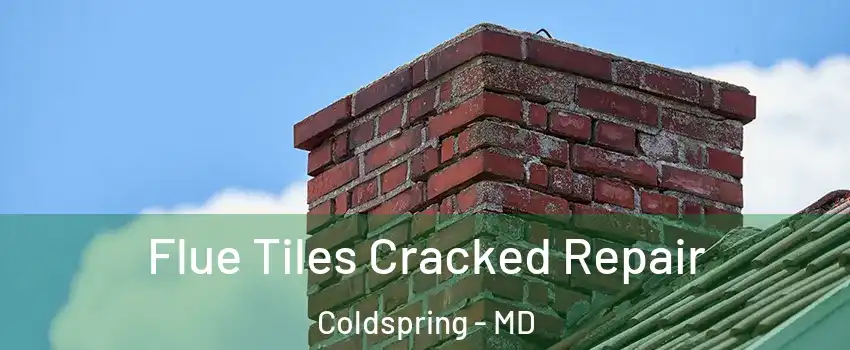 Flue Tiles Cracked Repair Coldspring - MD