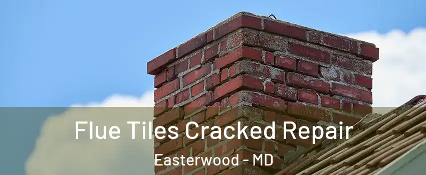 Flue Tiles Cracked Repair Easterwood - MD