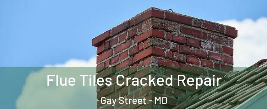 Flue Tiles Cracked Repair Gay Street - MD