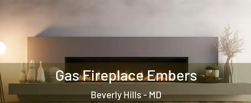 Gas Fireplace Embers Beverly Hills - MD