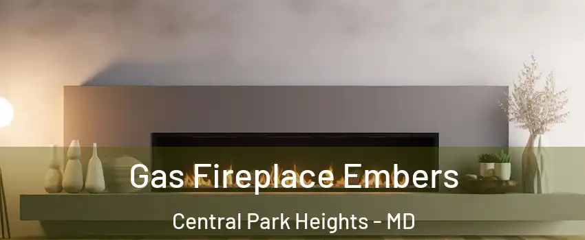 Gas Fireplace Embers Central Park Heights - MD