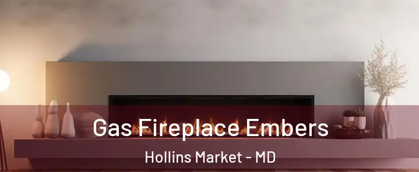 Gas Fireplace Embers Hollins Market - MD