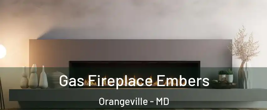 Gas Fireplace Embers Orangeville - MD