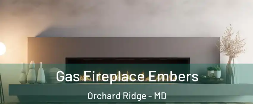 Gas Fireplace Embers Orchard Ridge - MD