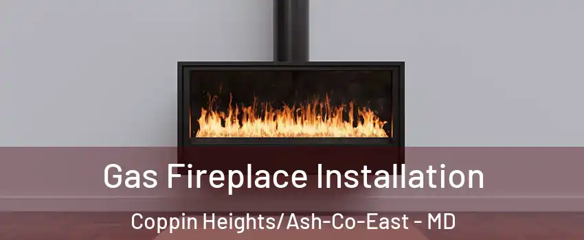 Gas Fireplace Installation Coppin Heights/Ash-Co-East - MD