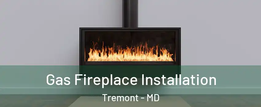 Gas Fireplace Installation Tremont - MD