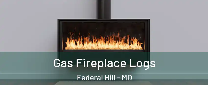 Gas Fireplace Logs Federal Hill - MD