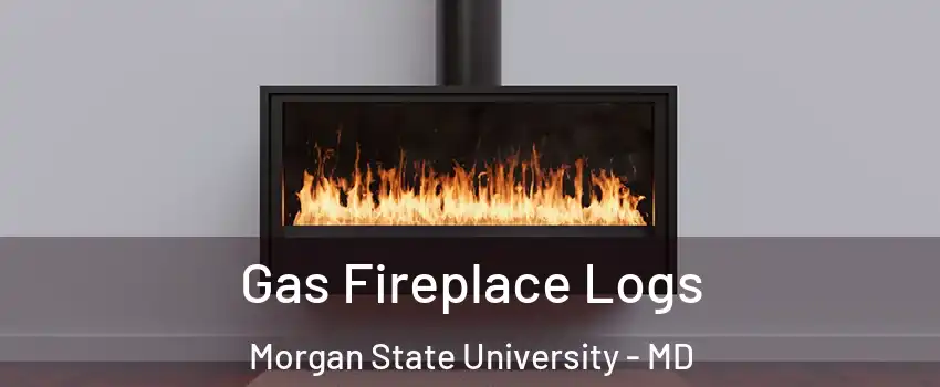 Gas Fireplace Logs Morgan State University - MD