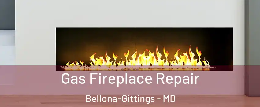 Gas Fireplace Repair Bellona-Gittings - MD