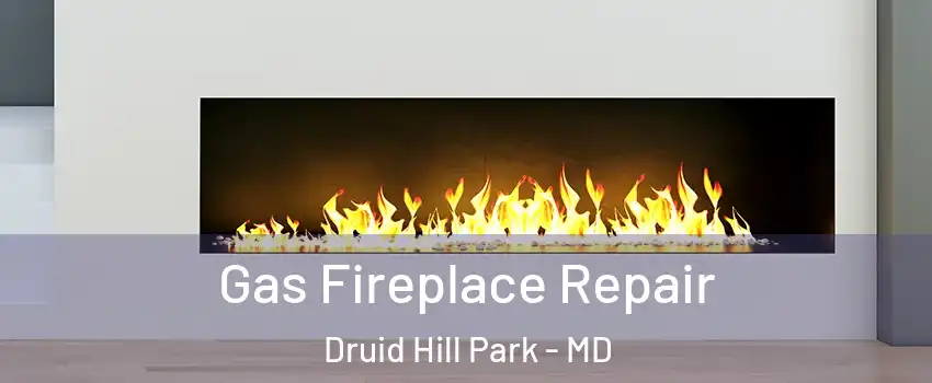 Gas Fireplace Repair Druid Hill Park - MD