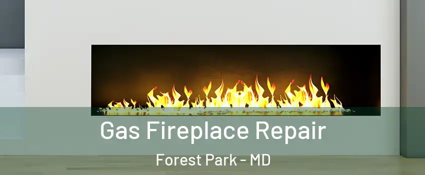 Gas Fireplace Repair Forest Park - MD