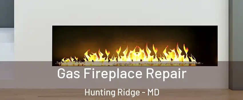 Gas Fireplace Repair Hunting Ridge - MD