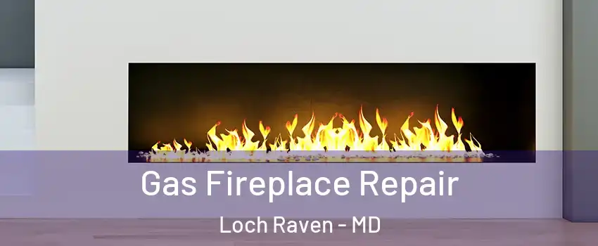 Gas Fireplace Repair Loch Raven - MD