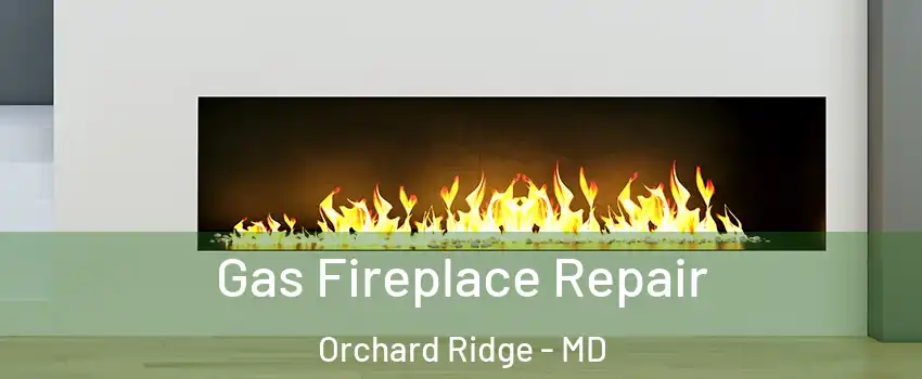 Gas Fireplace Repair Orchard Ridge - MD