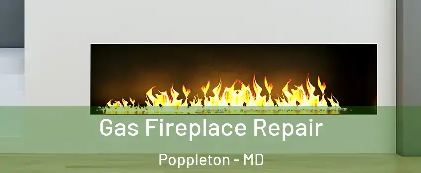 Gas Fireplace Repair Poppleton - MD