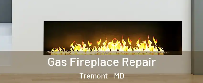 Gas Fireplace Repair Tremont - MD