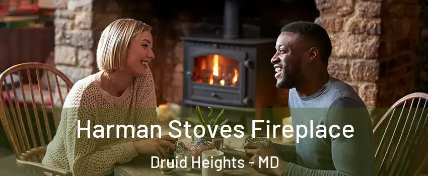 Harman Stoves Fireplace Druid Heights - MD