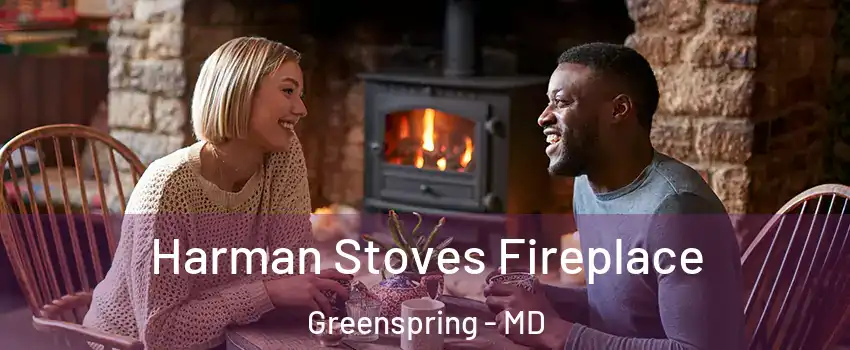 Harman Stoves Fireplace Greenspring - MD