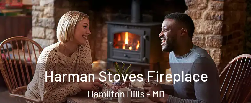 Harman Stoves Fireplace Hamilton Hills - MD