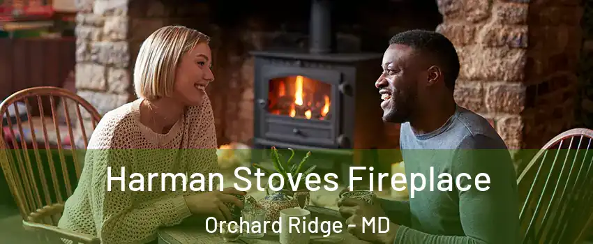 Harman Stoves Fireplace Orchard Ridge - MD