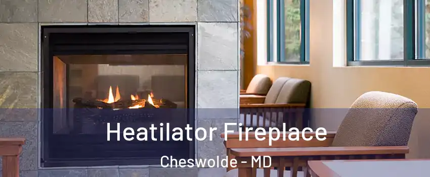 Heatilator Fireplace Cheswolde - MD