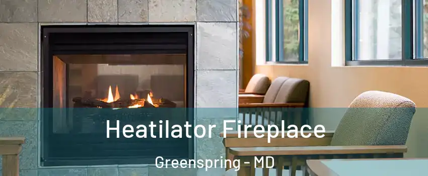 Heatilator Fireplace Greenspring - MD